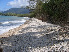 CairnsTC440 Port Douglas